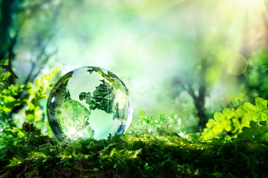 Image of a water drop shaped like the planet earth, on the forest floor.