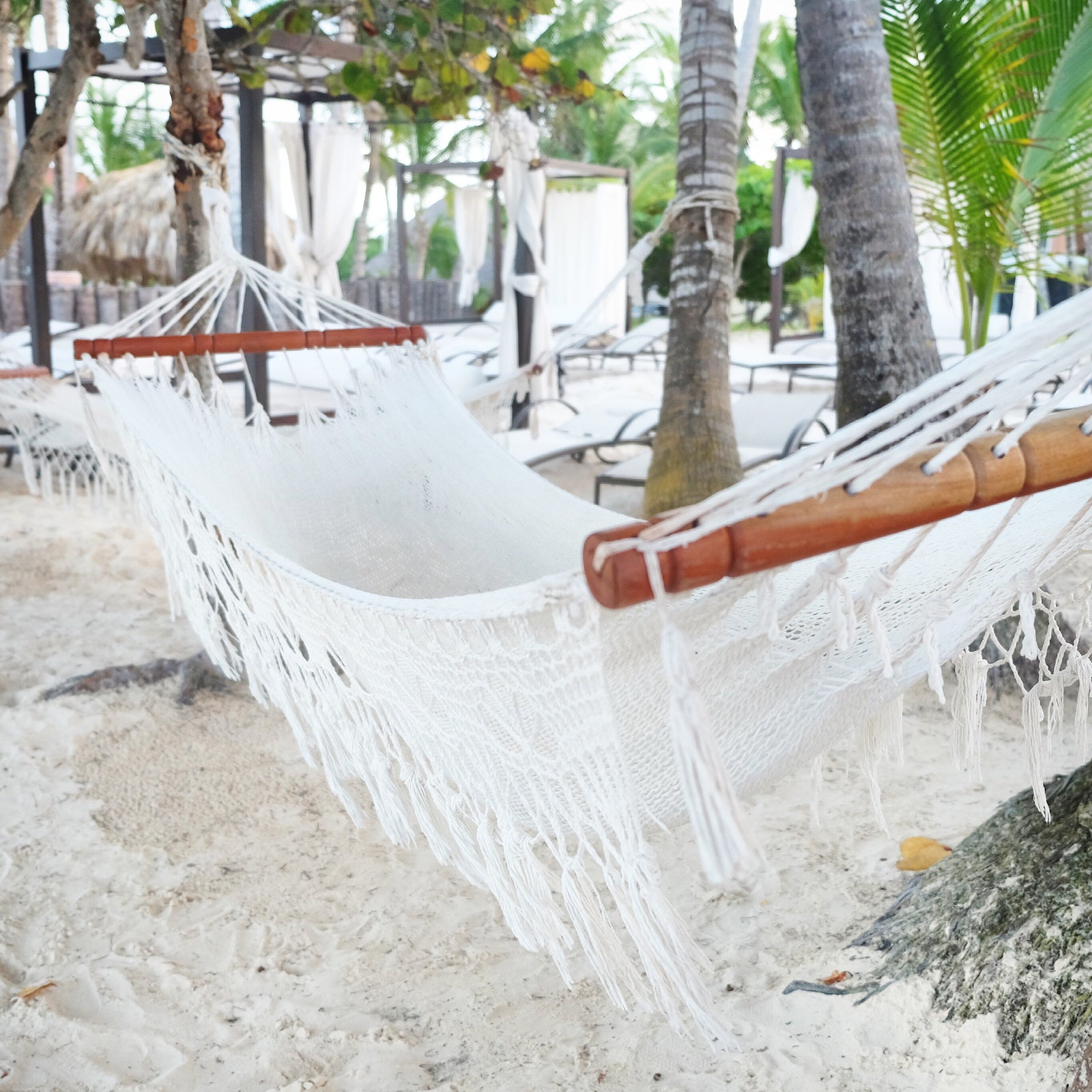 A hammock hanging in trees on a beach.