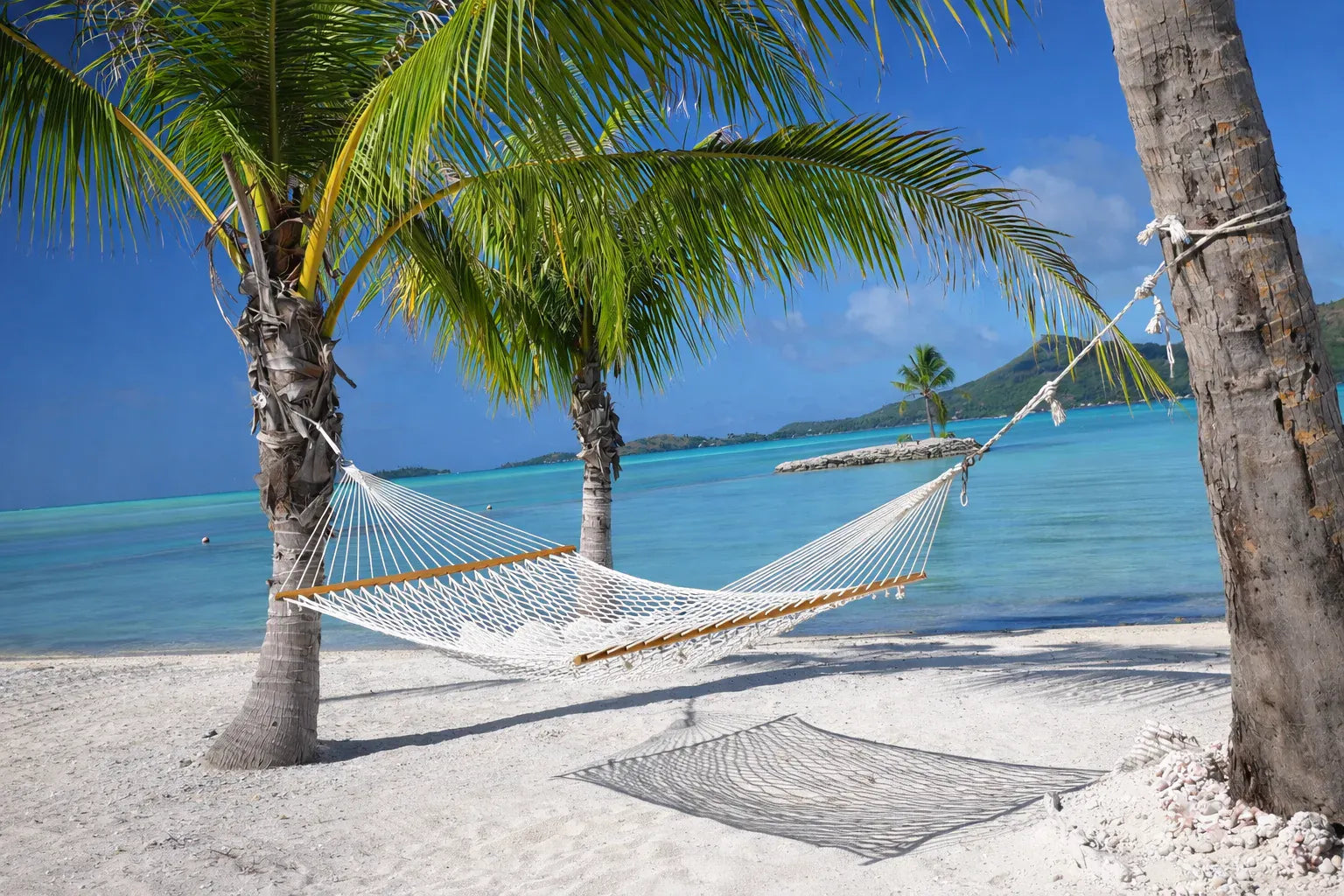 Hammock Universe Canada Canada Cotton Rope Double Hammock with Straps and Carrier Bundle 642135812181 50501-PWT+HTS-B+SBHC