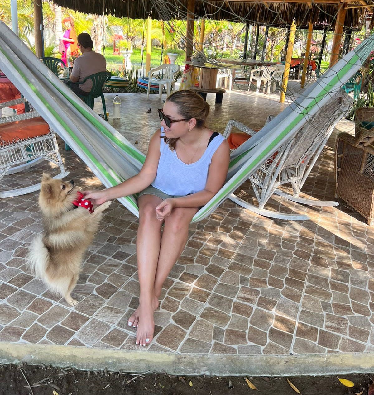Hammock Universe Canada Premium Brazilian Style Double Hammock with Universal Stand 20193+75121