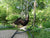 Hammock Universe Canada Mayan Hammock Chair with Universal Chair Stand brown-beige / ca 738447504972 81022.04+75217-2