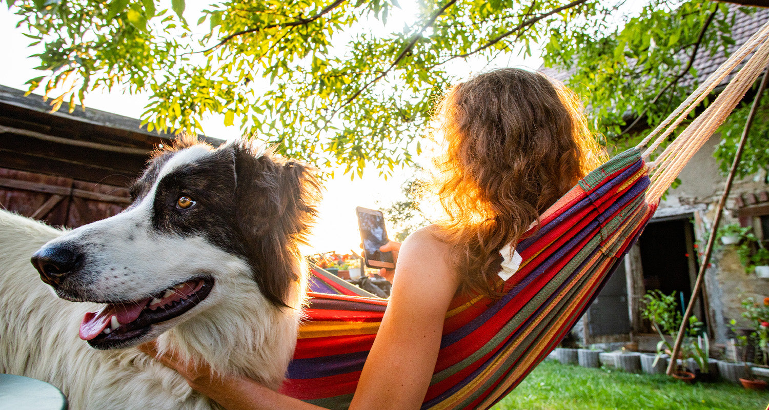 The Freedom of the Open Road: Hammock Relaxation for RVers and the Thrill of Camp Carpe Diem