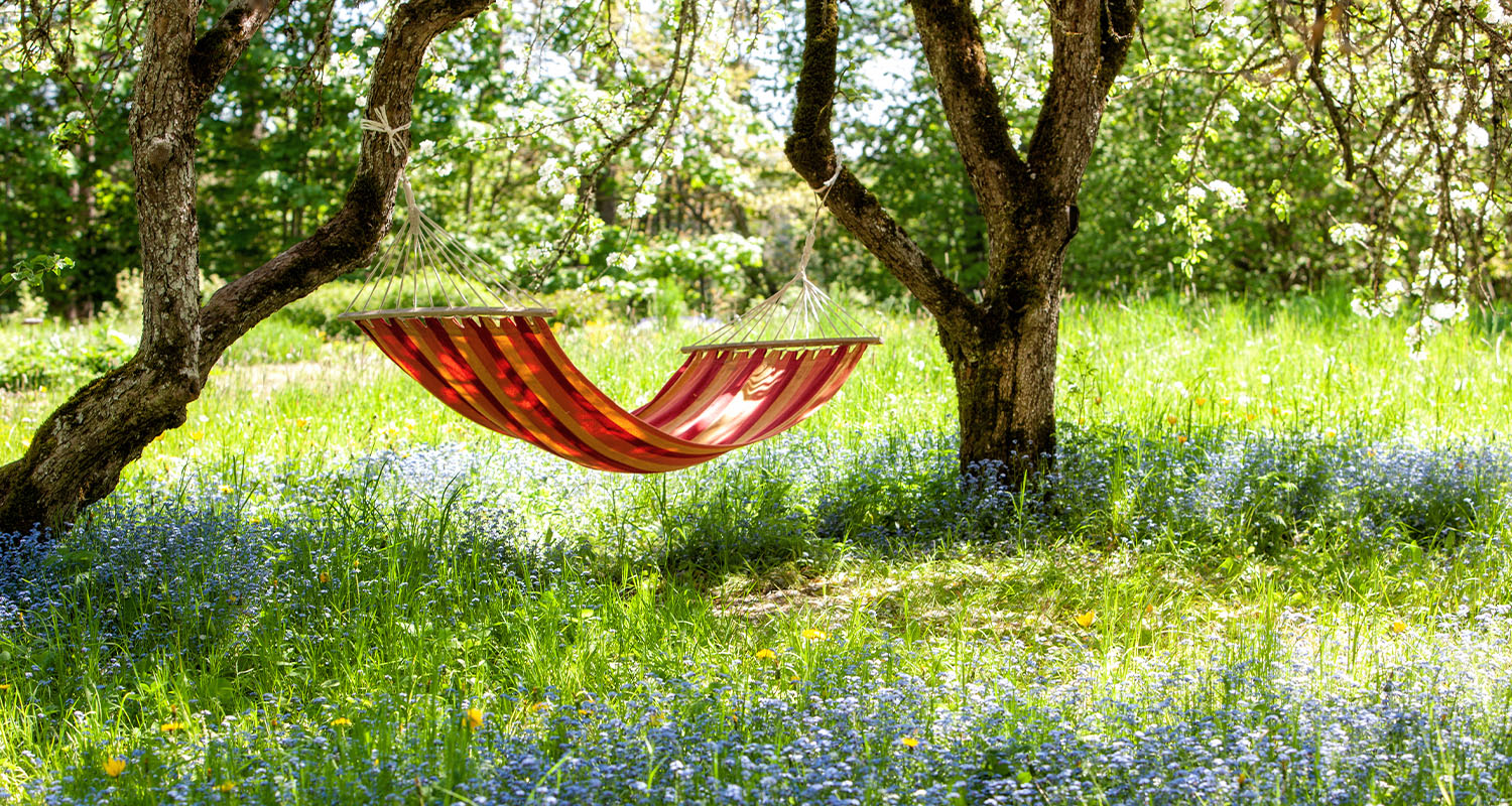 An orange hammock tied between two trees in a grassy backyard