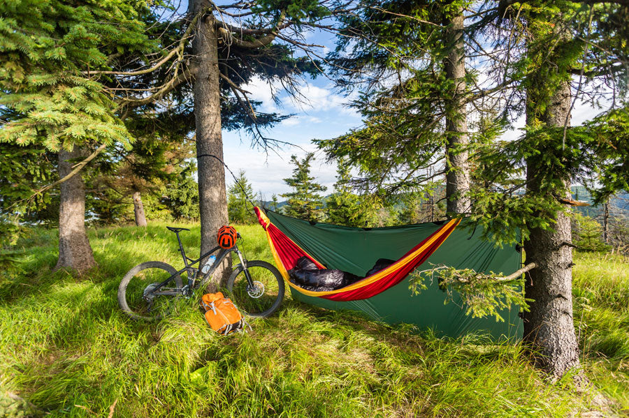 A hammock hanging in a sunlit forest next to a bike.