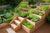Example of a Raise garden bed in a backyard of a home with fresh greens growing