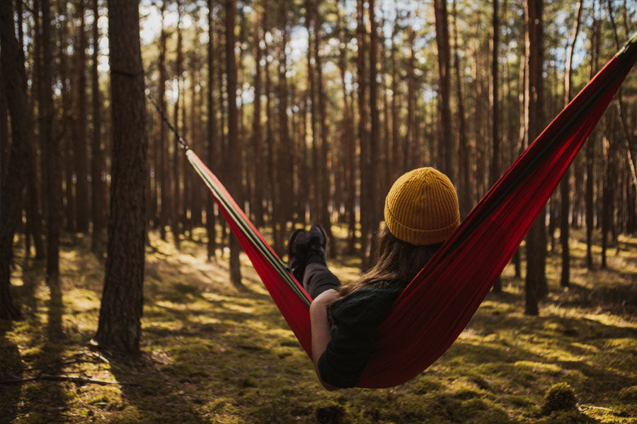 Women relaxing in a hammock in the forest, embracing the tranquility of the forest.