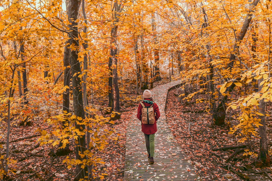 A woman walking down a wooden path in a forest in autumn.