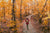 A woman walking down a wooden path in a forest in autumn.