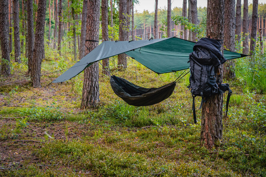A hammock covered by a hammock tarp hung in between two trees in a damp forest.