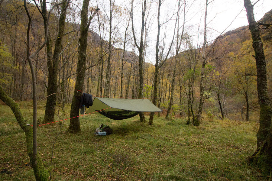 A hammock hanging from two trees in a forest in autumn, covered by a rain tarp.