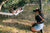 Women taking a photo of a couple relaxing on a hammock