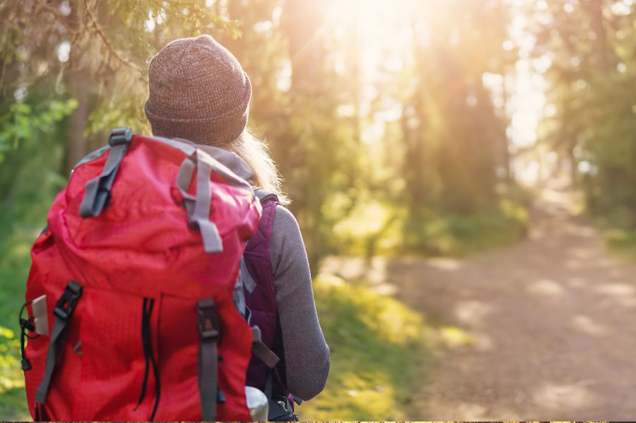 A woman walking down a trail in a sunlit forest.