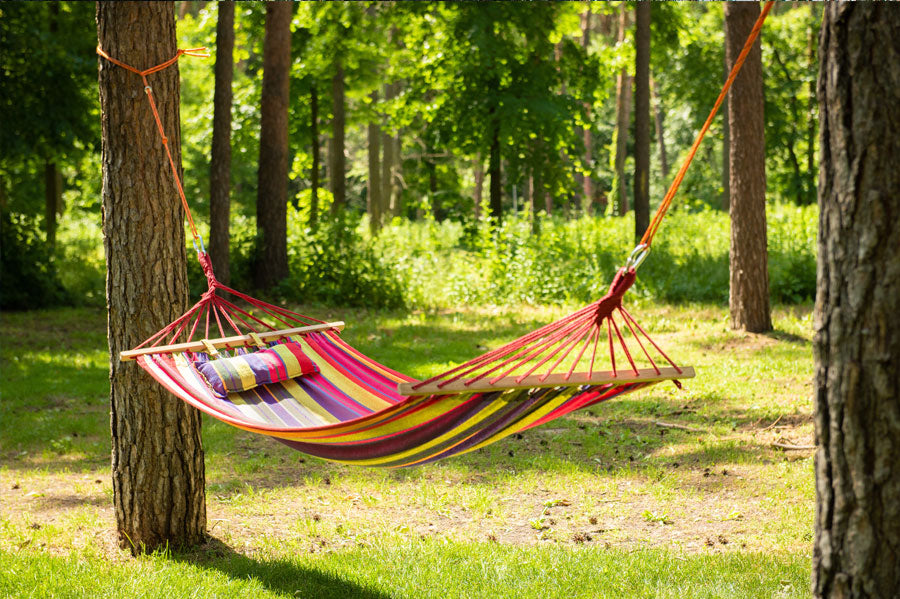 A hammock hanging in between two trees in a sunlit forest.