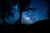 Hammock Camping under the beautiful night sky 