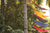 Five hammocks hung above each other on two palm trees.