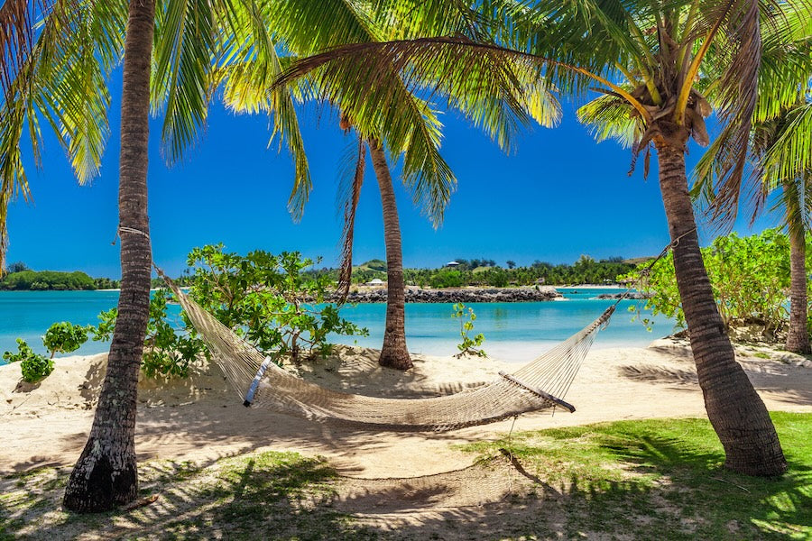 a beautiful setting near the sea, a hammock between the palm trees