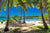 a beautiful setting near the sea, a hammock between the palm trees