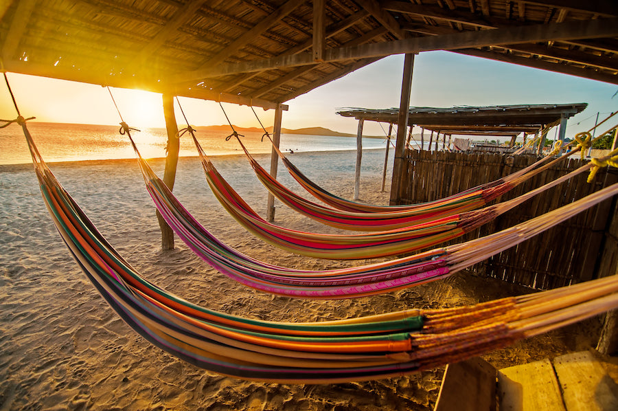 Five hammocks in a row on the beach at sunset.