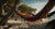 colourful hammock on an exotic island beach
