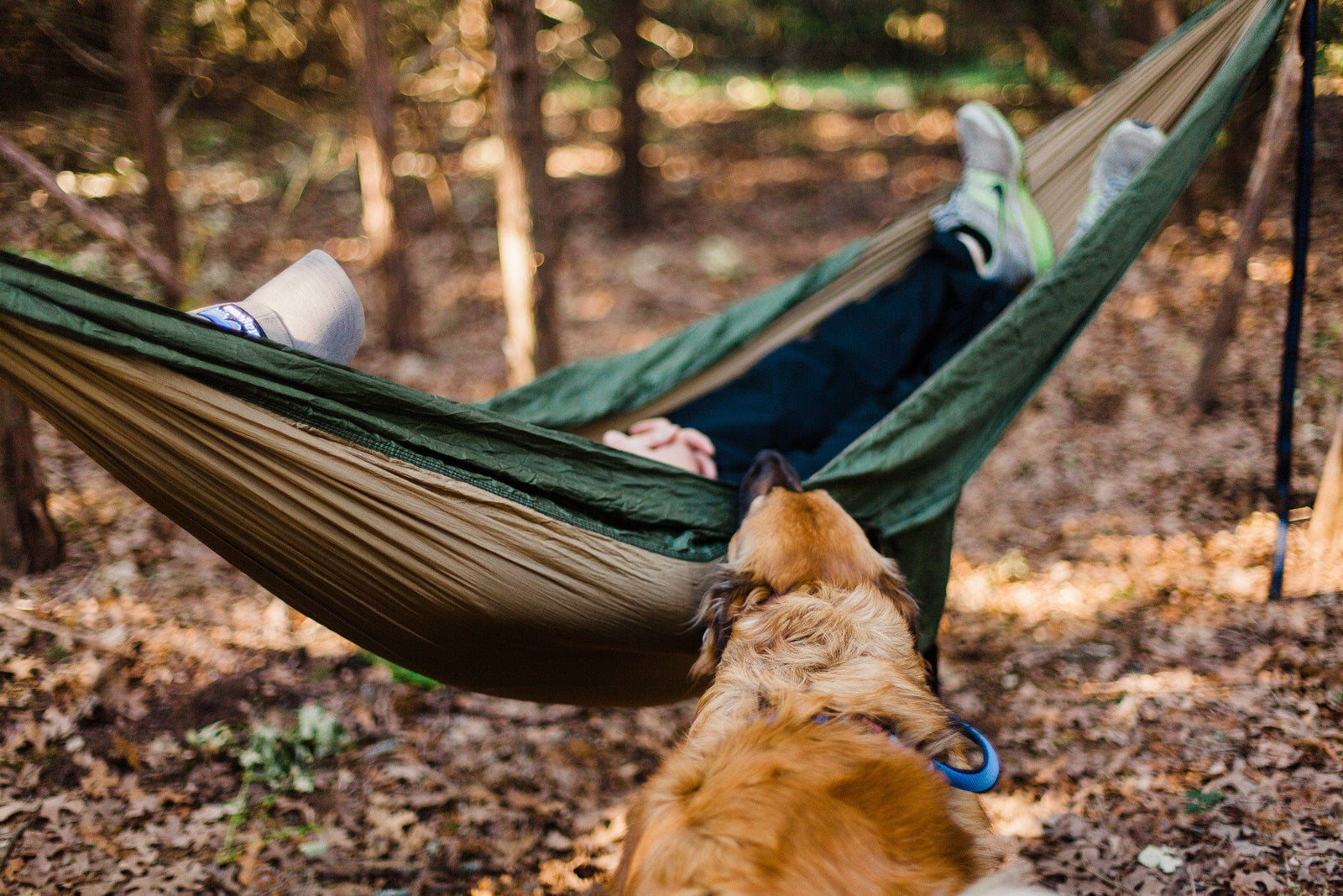 person resting in a camping hammock