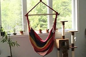 Brazilian hammock chair hot colours