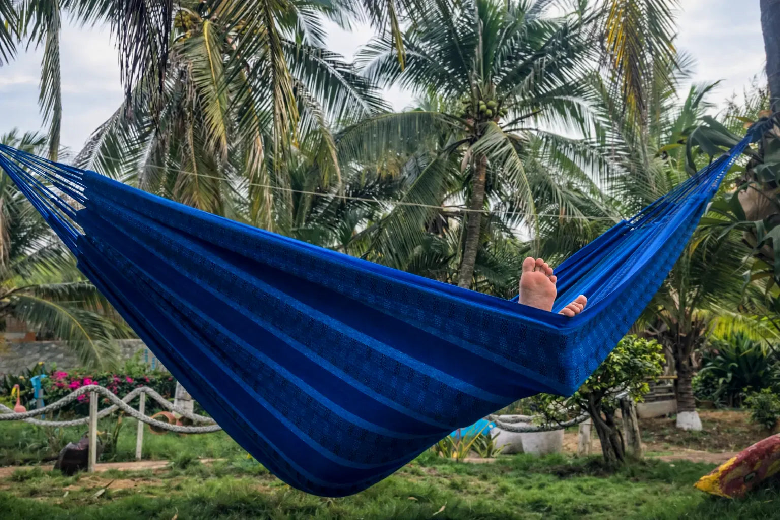 Person relaxing in a blue hammock surrounded by palm trees 20190