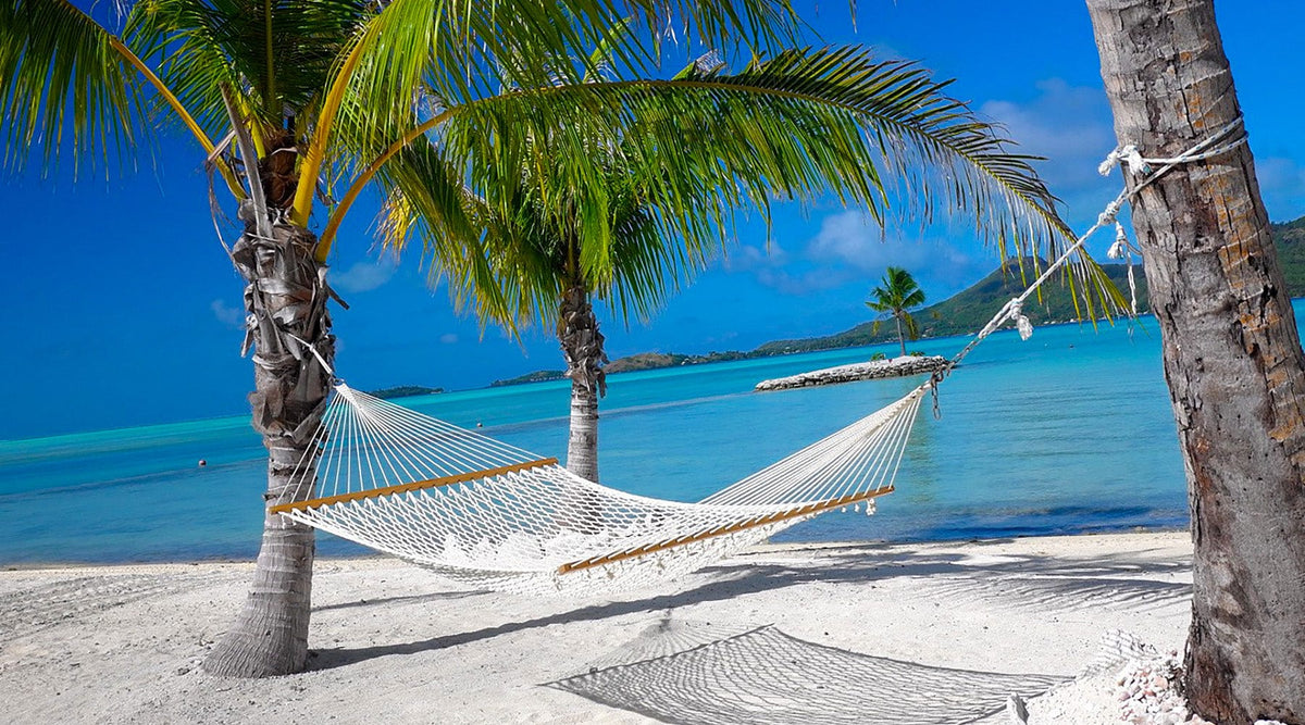 Hammock Universe Canada Canada Cotton Rope Double Hammock with Straps and Carrier Bundle 642135812181 50501-PWT+HTS-B+SBHC