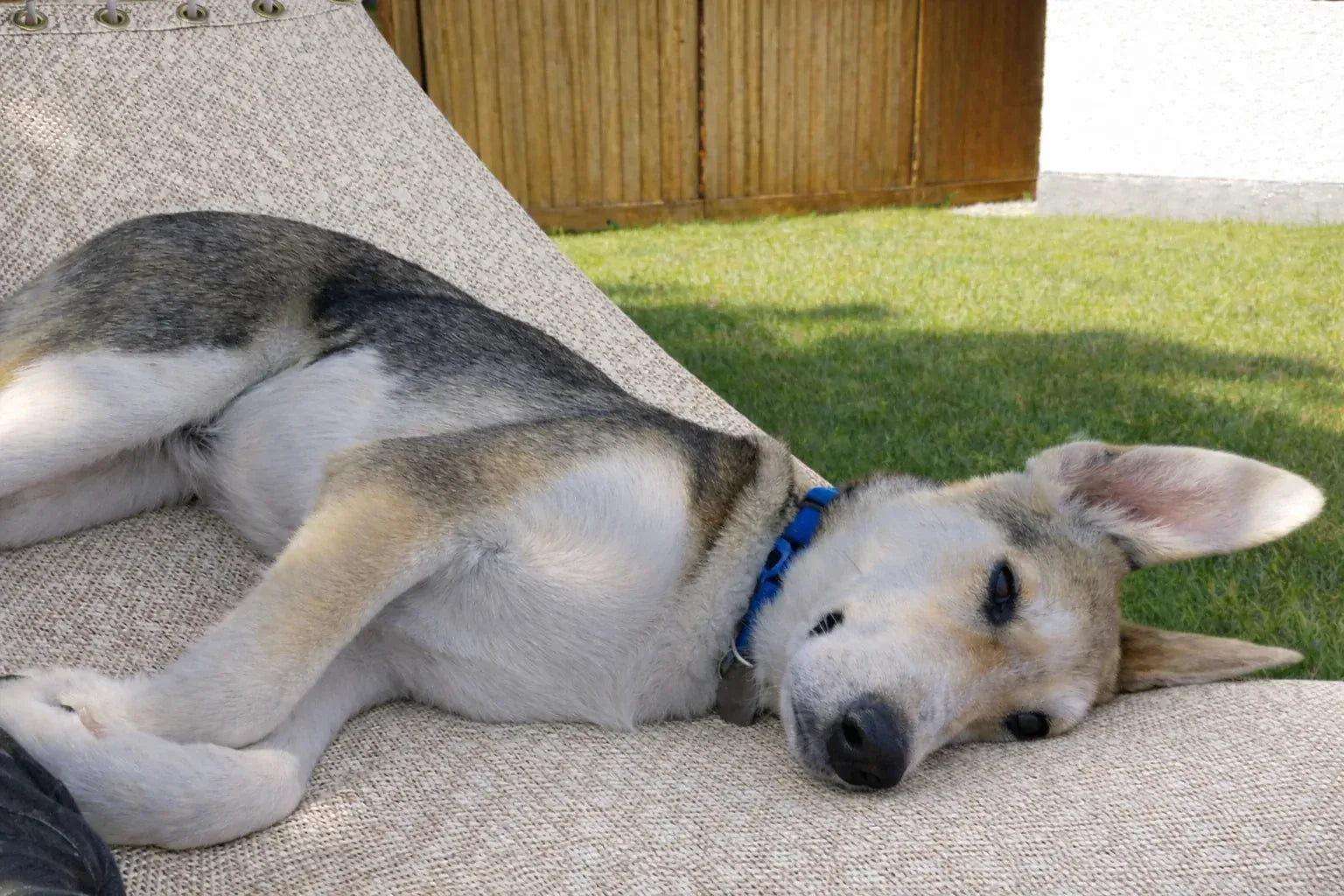 Hammock Universe Canada Poolside | Lake Hammock - Double