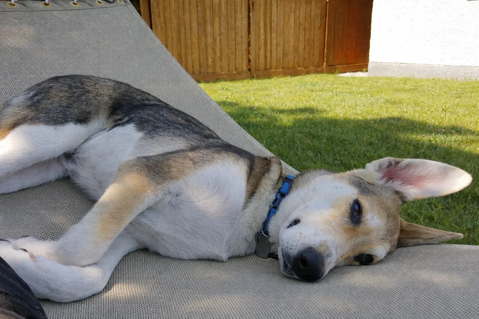 Hammock Universe Canada Poolside | Lake Hammock - Double