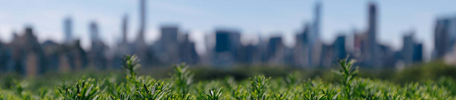 Hammock-Universe-Blog-Urban-Look