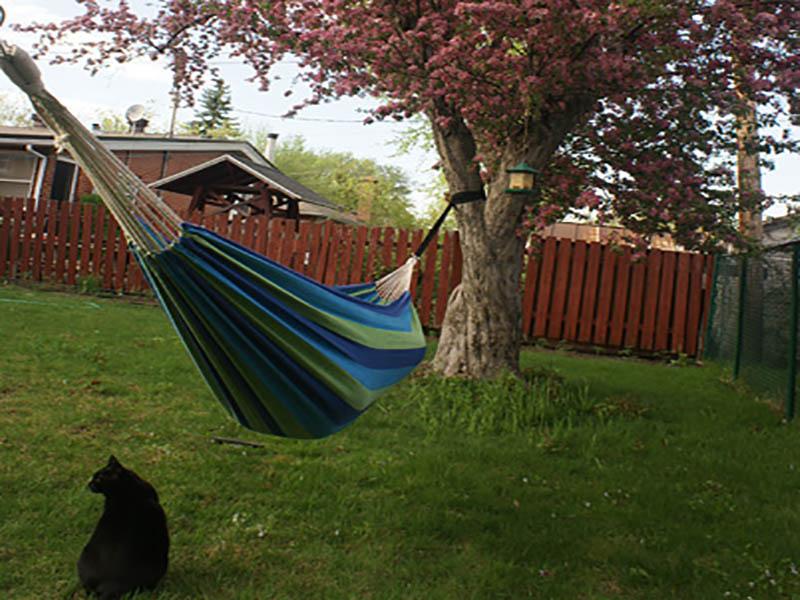 Hammock Universe Canada Deluxe Brazilian Style Double Hammock