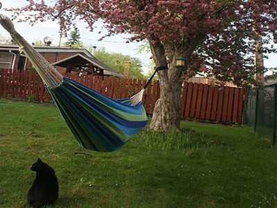 Hammock Universe Canada Deluxe Brazilian Style Double Hammock