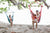 Hammock Universe Canada Brazilian Hanging Chair