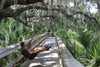 Hammock Universe Canada Mayan Hammock Chair