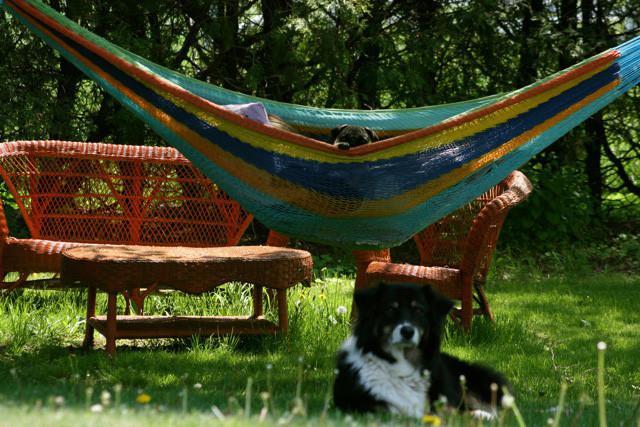 Hammock Universe Canada Mayan Hammock - XL Family-sized Thick Cord